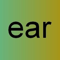 ear2.jpg